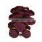 Shengyuan Prompt Delivery Best 7A Human Hair Weave Colored 99J 10 To 24 Inch Body Wave
