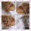 Aidocrystal Champagne Fashion Party Ladies Rhinestone Hair Comb Fascinators,bridal Headpiece