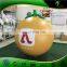 Inflatable Hanging Fruit Vegetables, Custom Giant Advertising Fruit, Promotion Product/ Advertising Model for Sale