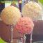 Wholesale cheap flower ball color wedding road lead ball artificial flowers wedding decoration