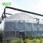 Multispan Tunnel Greenhouse for strawberry grape raspberry&Agricultural Greenhouse