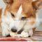 Tie Knot Pet Toy Dogs Interactive Teasing Entertaining Toy Teeth Grinding Pet Supplies