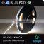 High quality bicolor warm white plus pure white cct adjustable dual color led strip