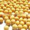 Chinese organic soybeans