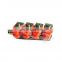 CNG 2/3 OHM injector rail kit for 4 cylinders CNG gas car