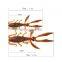 10pcs/bag 1.9g 2.5g  Fishing Lure With Box Soft Worm Fishing  leurre souple Soft Fishing Lure Combo soft lure