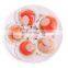 Frozen Half Shell Scallop Sea Scallop