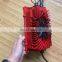 48 volt 20 amp lead acid battery charger for Trojan battery