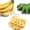 Ripe banana peeler slicer machine banana plantain cutter machine