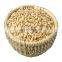 Byloo premium china best quality pine nuts inshell shelled pine nuts or kernel pine nut