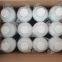 APCA Glokill PQ Poly(dimethylamine-co-epichlorohydrin) CAS 25988-97-0