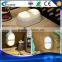 Human Body Motion Sensor LED Night Light for cabinet, indoor stairs, gradvin