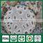 Organic Shiitake Nutritious and Medicinal Edibal Mushroom Lentinula Edodes