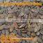 organic dark green pumpkin seeds grown without shell (GWS) AAA/ AA / A