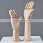 wooden articulated hand, display mannequin hand