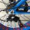 New Product Blue Big Tyre Snow Sand Beach Fat Bike