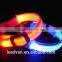 Wholesale Pet Products Dog Collars Luminous Dog Collar