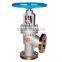 DIN Angle Pattern Gland Packing Globe Valve