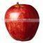 new crop fresh sweet gala apple with high quality for sale