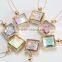 2016 New Real Dried Flower Glass Ball Pendant Necklace Glass Dome