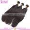 7A top quality filipino virgin hair extensions wholesale
