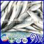 Fresh catch seafood of mackerel fresh and frozen mackerel saba exports