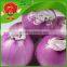 best quality onions in bulk for mcdonalds dehydrated onions