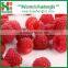 Chinese Fresh Frozen Raspberry