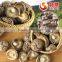 Natural Dry Shiitake Mushrooms Bulk Dried Mushrooms