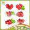 Frozen Iqf Wild Cultivated Raspberry