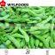 high quality from china FROZEN BLANCHED SOY BEANS best price