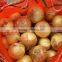 Best Selling Products Natural Yellow and Red Onion in Low Price