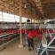TAIYU Battery Chicken Cage Laying Hens