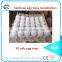hot sale egg box making machine