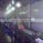 automatic industrial washing machine vegetable washer