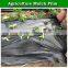 20 micron mulch cover film plastic film roll for agriculture
