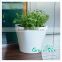 PP garden balcony plastic flower pot,self watering planter,plastic flower pot,nursery pots