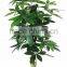 China Hot Sale Evergreen Fake Money Tree ,artificial Pachira