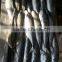 Whole Round Frozen Jack Mackerel