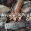 wholesale for feeding cheap 25cm+ live squid
