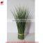 Hotsales natural cylinder onion grass for garden decoraction