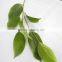 spring high tech manufacturer handcraft artificial plastic lotus leaf