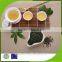 steam green tea