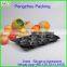 pengzhou plastic food tray with lid