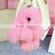 Genuine Rex rabbit Furs Keychain Pendant Bag Car Charm Tag Cute Mini Rabbit Toy Doll Real Fur Monster Keychains 18cm