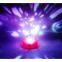 Creative novelty LED projection electronic candle/projector Toy/Valentine's Day a birthday gift