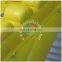 Top selling Inflatable bouncer New Inflatable wall climbing