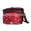 trendy design lunch cooler bag with handle strap