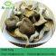 New Arrival High Quality Pleurotus Abalonus