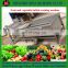 High Speed Ozone sterilizing vegetable washing machine / Bubble fruit washing machine